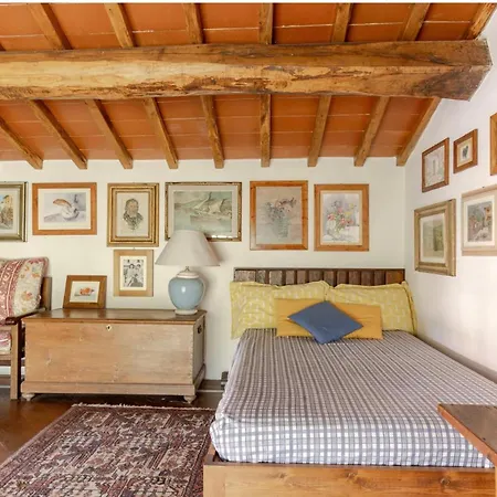 Divinae Cintoia Greve in Chianti