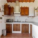 Divinae Cintoia 3*