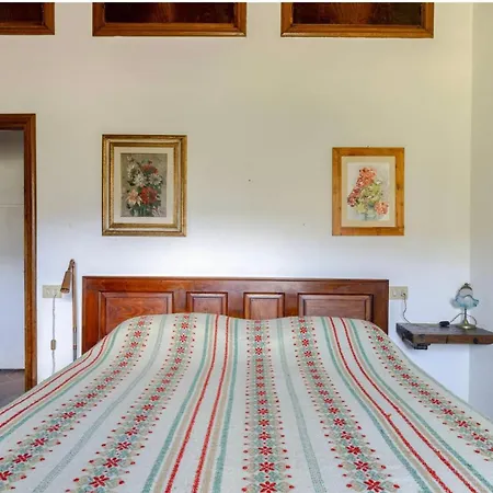 Divinae Cintoia Greve in Chianti