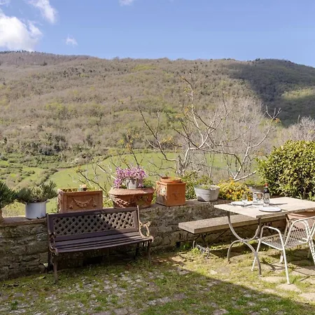 Divinae Cintoia 3* Greve in Chianti