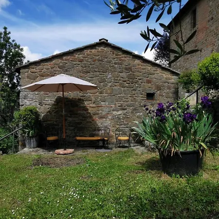 Divinae Cintoia Hotel Greve in Chianti